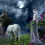O--- Night  Fantasy ---O