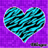 awesome zebra heart
