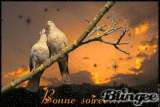 Bonne soirée ....