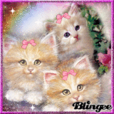 Cute Kittens