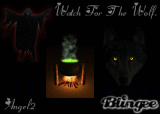watch for the wolf