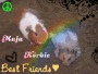 Meine Tiere o_o