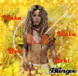 WaKa WaKa:ThIs TiMe FoR aFrIcA!