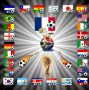 coupe du monde 2010