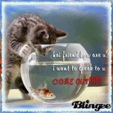 hi friend..how are u ? i want to speak to u come out