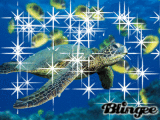 I LOVE GREEN SEA TURTLES!