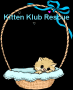 bluestar111234