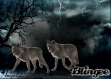 night of the wolf