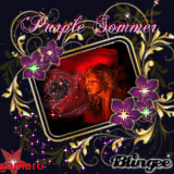 purple sommer