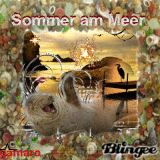 sommerabend am meer