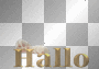 hallo