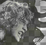 Angus, tiger and elephant *O* [by angelinight]