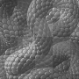 Background Animated***FI Background Animated***FI
