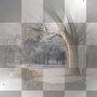 backdrop scene