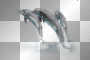 LATO SUMMER  TRANSPARENT DECO FISH WATER 
