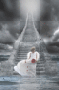 stairway to heaven