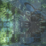 jungle reflection +myates7 jungle reflection +myates7