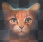 squirrelflight