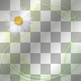 RAMCIA  FRAME TRANSPARENT BORDER FLOWER GREEN WHITE