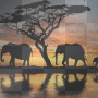 African Safari #2