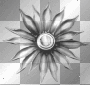 Flower Spirale