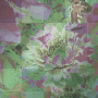 Flowers (created by Marina.celta)