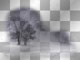 background trees @papermoon666