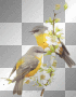 oiseaux animé jaune deco -c oiseaux animé jaune deco -c
