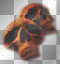 Firey Skulls • Firey Skulls •