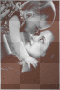 Bella und Renesmee