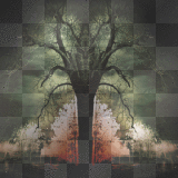 trees @sogno