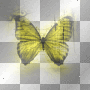 Big_Butterfly_With_Text~Yellow