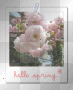 spring