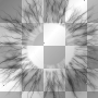 light black white ©dK