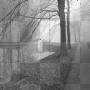 amon // animated autumn background