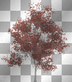 Tree***FI