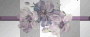 Purple flowerline