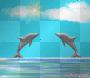 Happy Dolphins