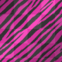 colorful zEbra