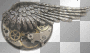 steampunk brooch