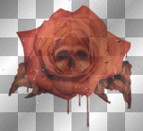 orange skull rose