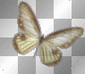 AJESIEN AUTUMN FALL ANIMATED BUTTERFLY