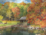 FALL