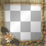 amon // autumn frame