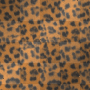 ***Background***