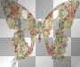 butterfly !!! aramat.61