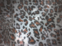 Leopardatoo *w*