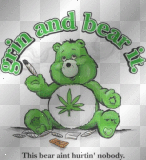 bear