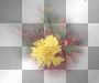 amon // autumn deco amon // autumn deco