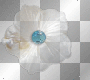 flower, white, charm flower, white, charm
